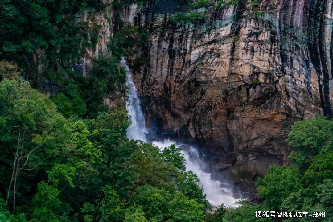 探索6个鸡蛋怎么做蛋糕,解锁你的疑问
